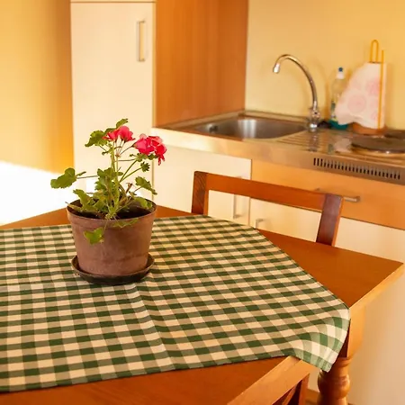 Turisticna Kmetija Vrezner 아파트 Zgornja Kungota