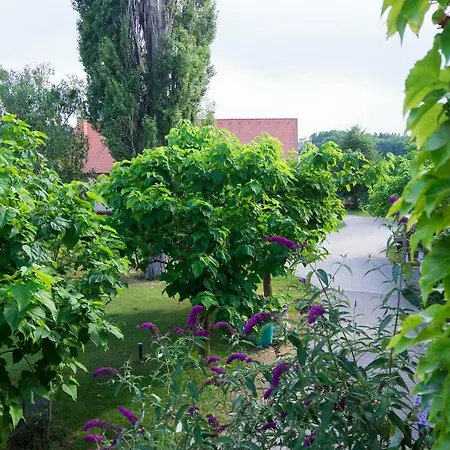 Apartman Turisticna Kmetija Vrezner Zgornja Kungota