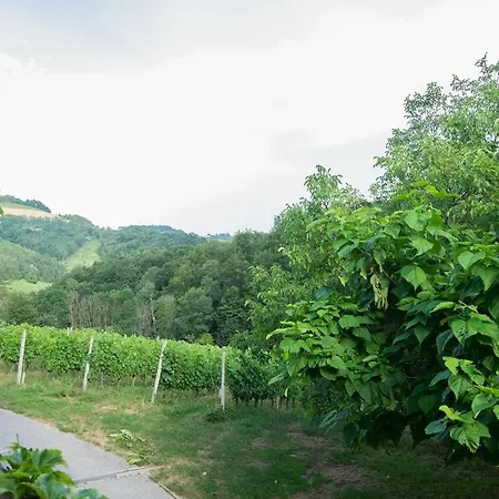 Turisticna Kmetija Vrezner * Zgornja Kungota