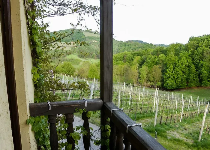 Turisticna Kmetija Vrezner 아파트 *