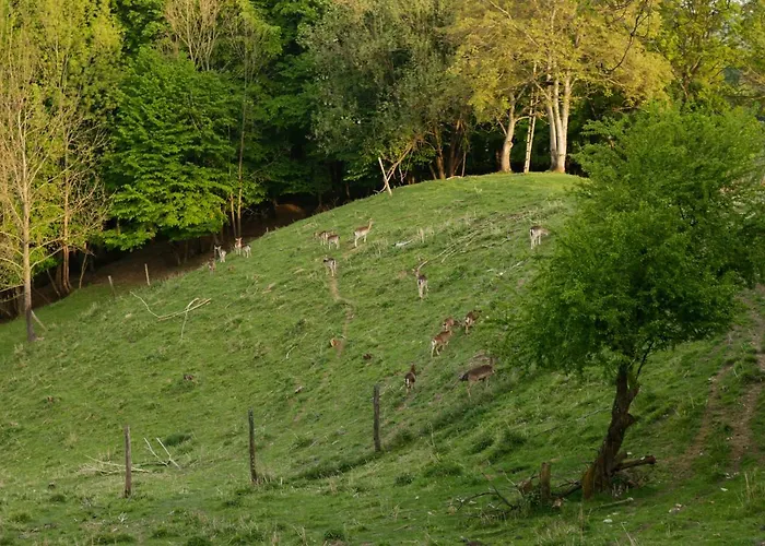 Turisticna Kmetija Vrezner *